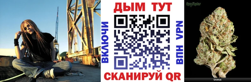 Конопля Череповец