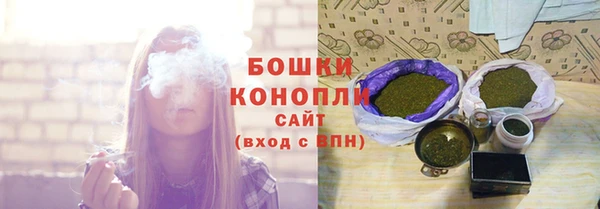 гидра Бугульма