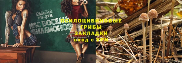 а пвп мука Бородино