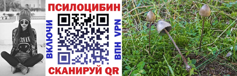 Галлюциногенные грибы MAGIC MUSHROOMS  купить наркотик  Череповец 